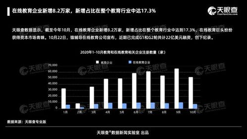 在線教育行業迅猛擴張 截至十月新增8.2萬家企業，占比達行業17%